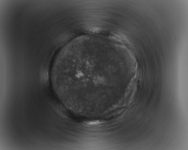 X0000089440500200706291427