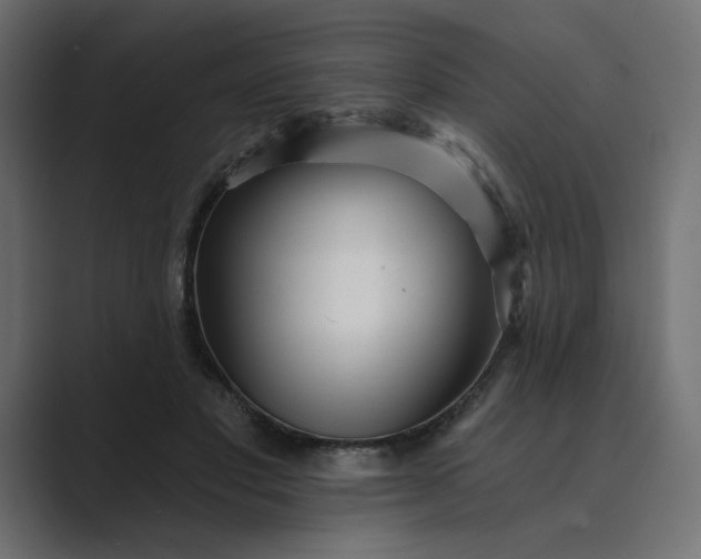 X0000089440501200706291427