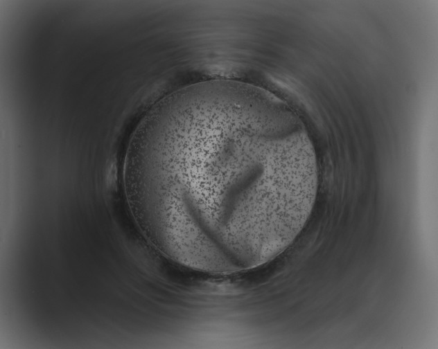 X0000089440502200706291427