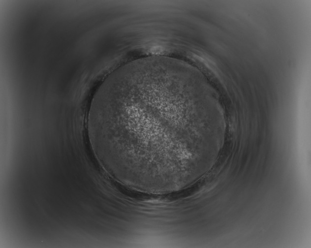 X0000089440503200706291427