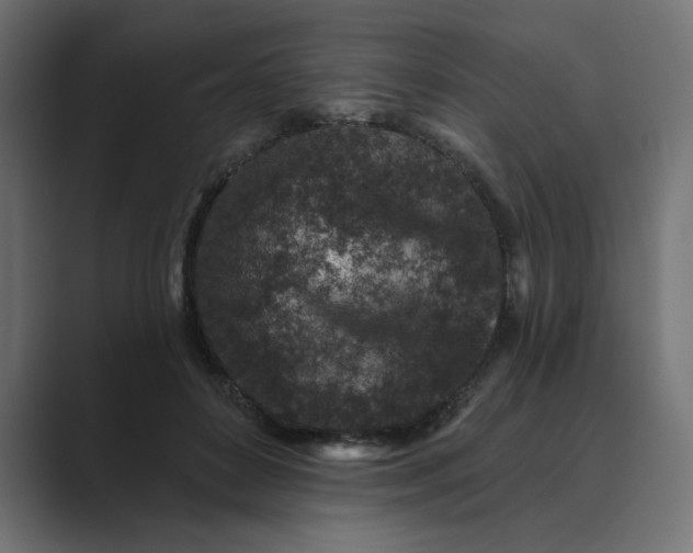 X0000089440504200706291427