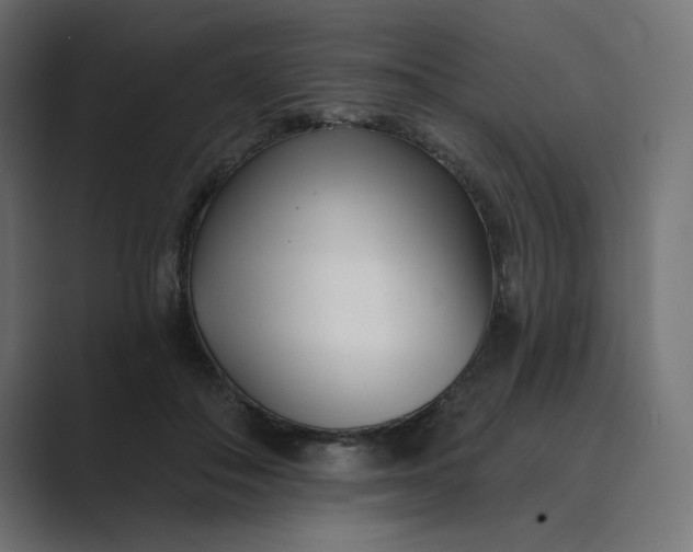 X0000089440506200706291427