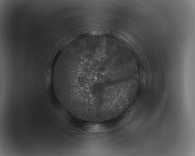 X0000089440507200706291427