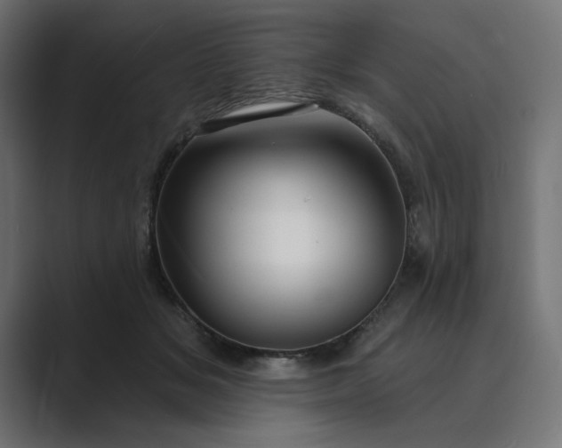 X0000089440509200706291427