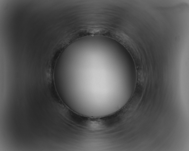 X0000089440510200706291427