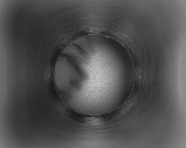 X0000089440511200706291427