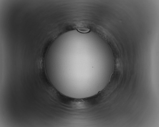 X0000089440514200706291427