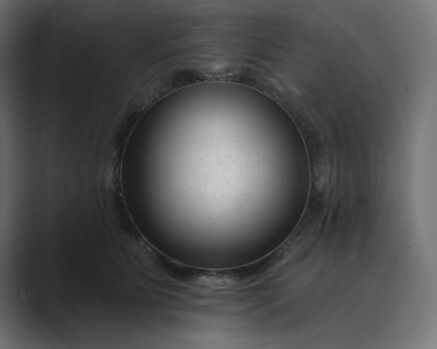 X0000089440515200706291427