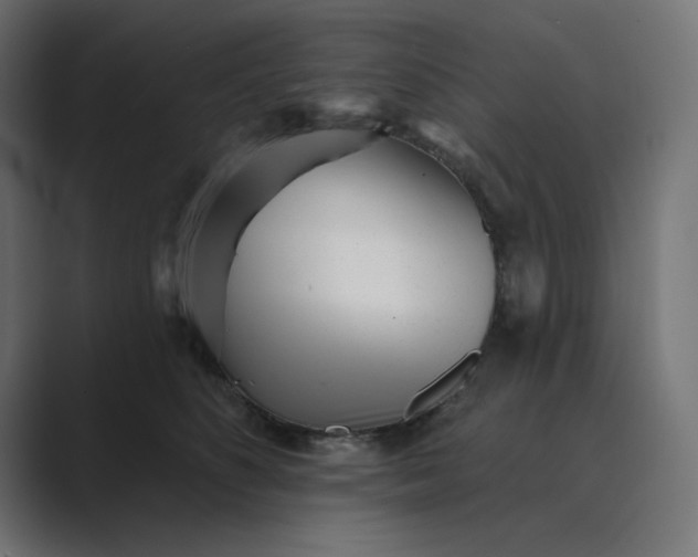 X0000089440516200706291427