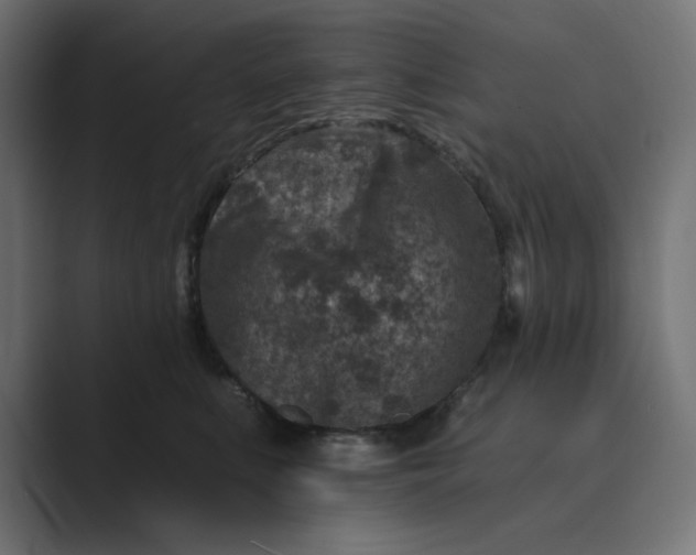 X0000089440519200706291427