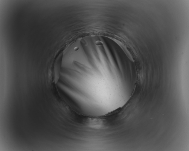 X0000089440520200706291427