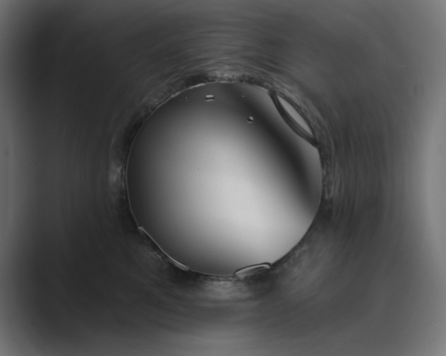 X0000089440521200706291427