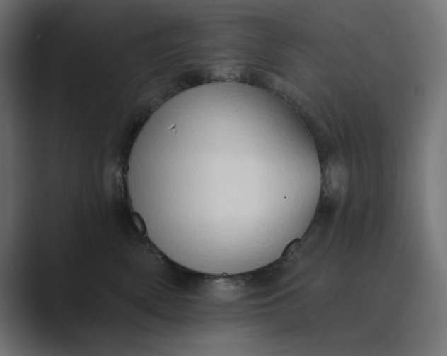 X0000089440522200706291427