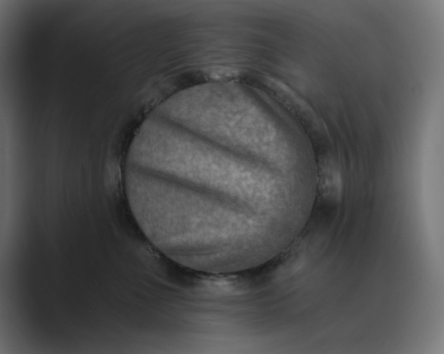 X0000089440523200706291427