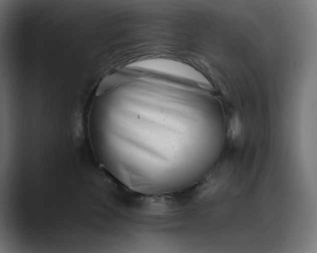 X0000089440524200706291427