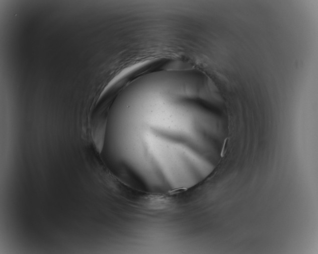 X0000089440528200706291427