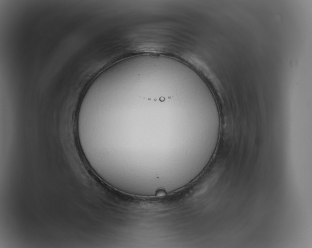 X0000089440529200706291427