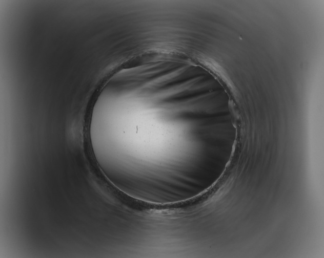 X0000089440530200706291427