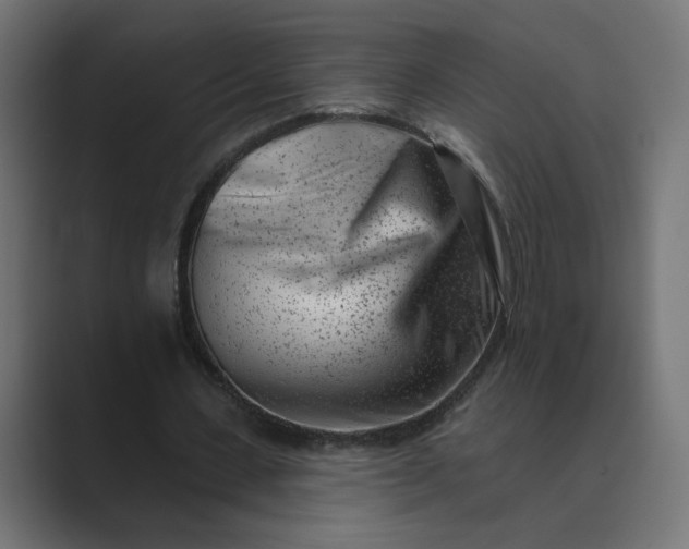 X0000089440531200706291427