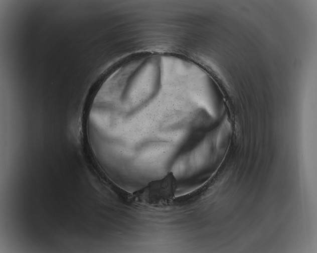 X0000089440532200706291427