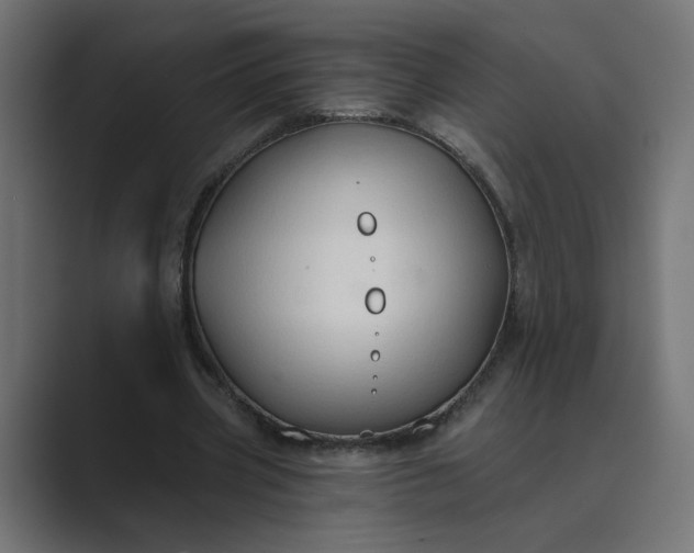 X0000089440533200706291427