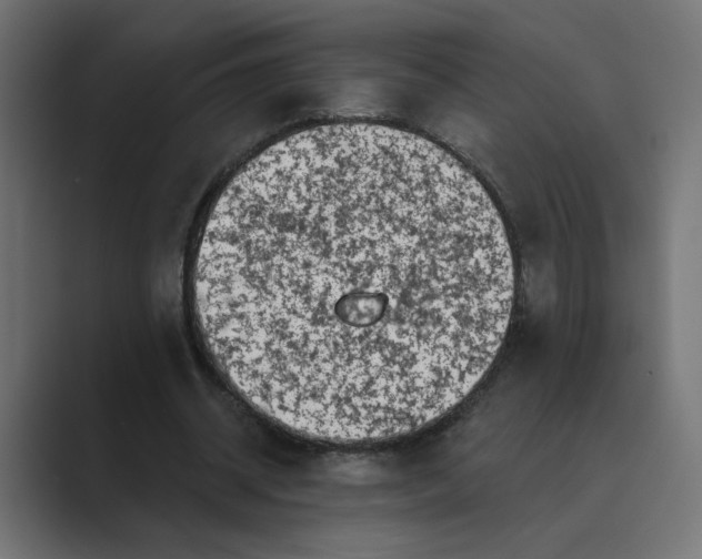 X0000089440534200706291427