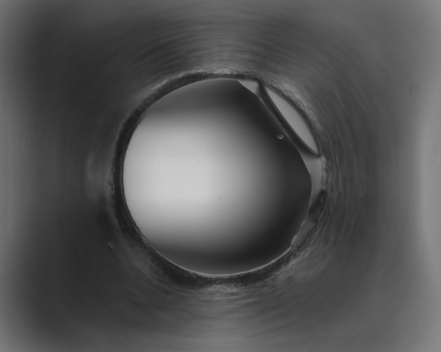 X0000089440536200706291427