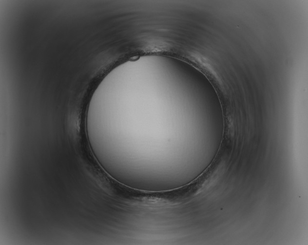 X0000089440539200706291427