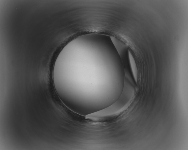 X0000089440540200706291427