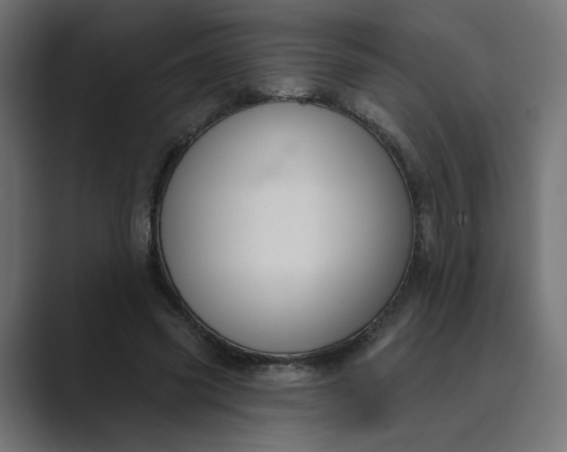 X0000089440541200706291427