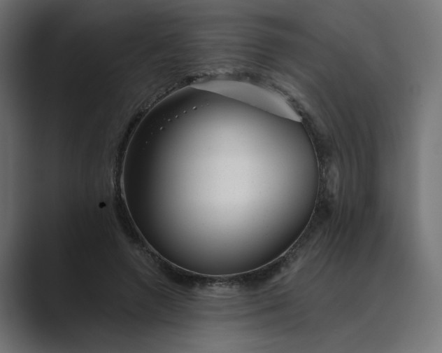 X0000089440546200706291427