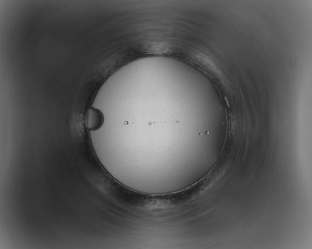 X0000089440549200706291427