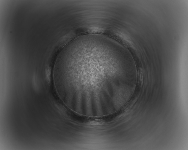 X0000089440550200706291427