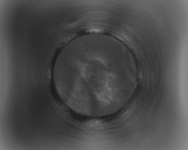 X0000089440551200706291427