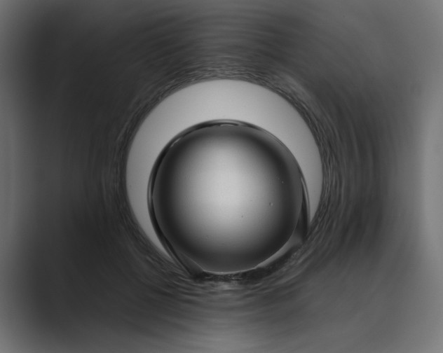 X0000089440552200706291427