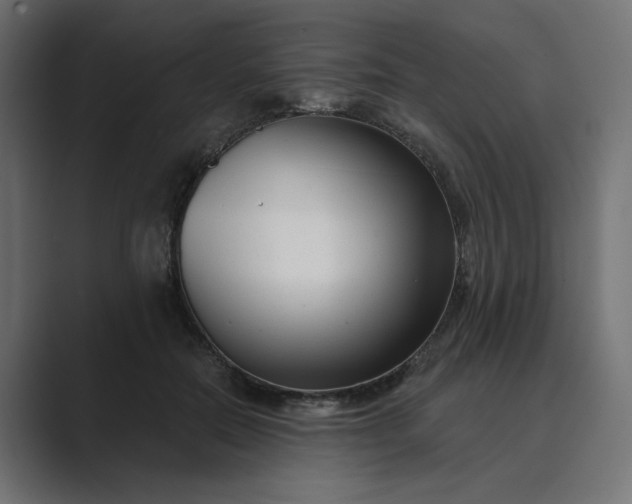 X0000089440554200706291427