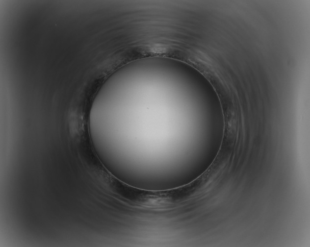 X0000089440555200706291427