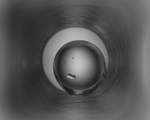 X0000089440556200706291427