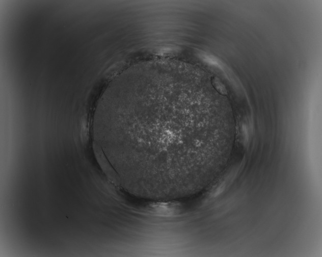 X0000089440558200706291427