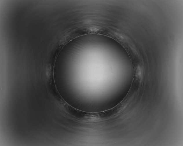 X0000089440559200706291427