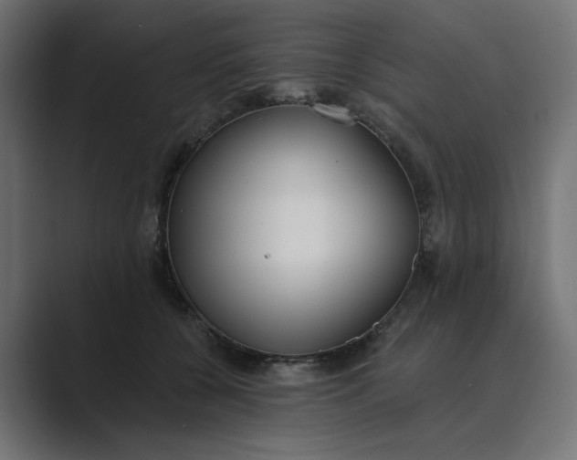 X0000089440560200706291427