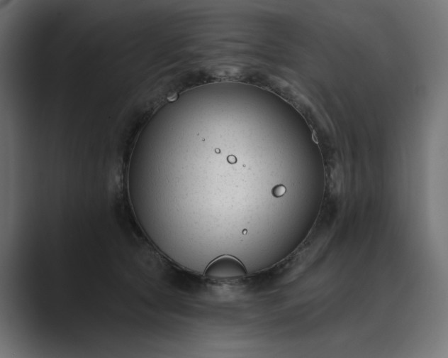 X0000089440561200706291427