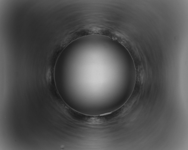 X0000089440562200706291427