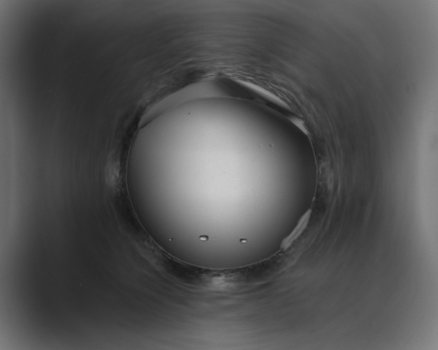 X0000089440564200706291427