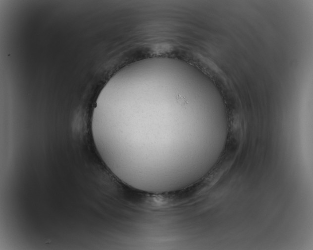 X0000089440565200706291427