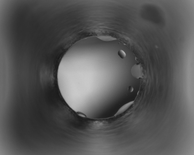 X0000089440566200706291427