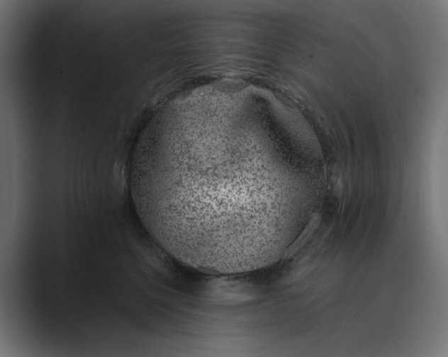 X0000089440568200706291427