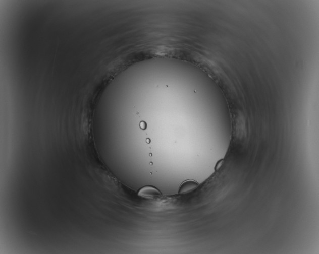 X0000089440569200706291427