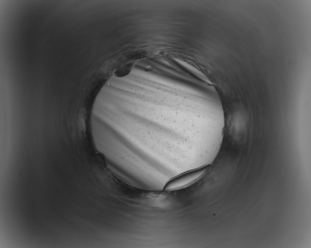 X0000089440570200706291427