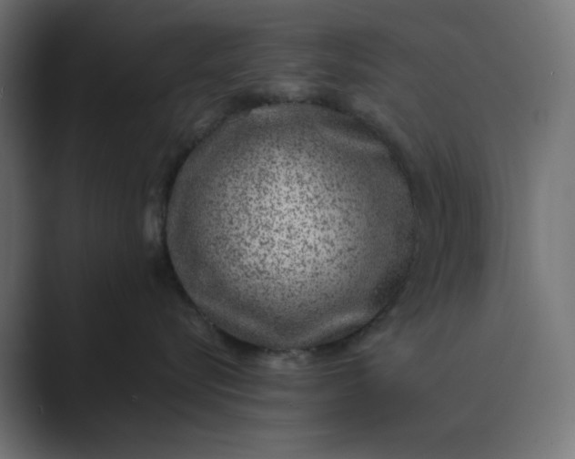 X0000089440576200706291427